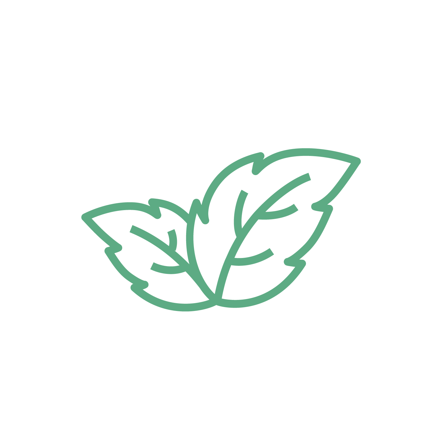 Menta Piperita